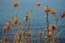 Cyprus 25
